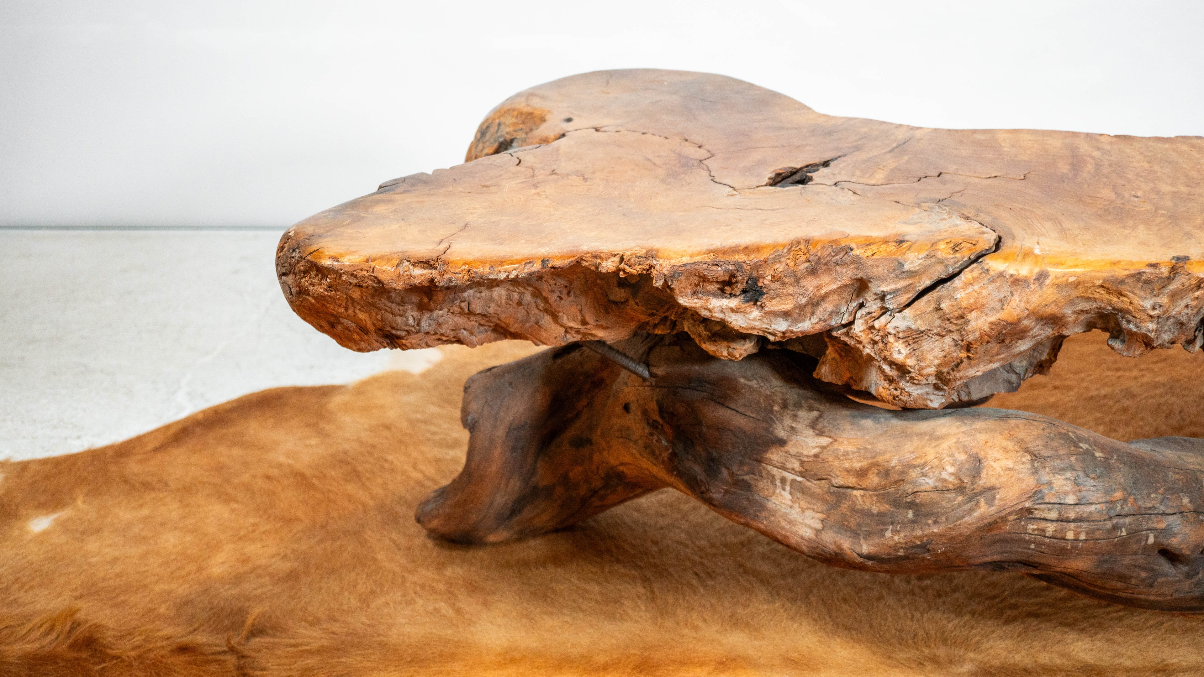 Vintage American Primitive Burlwood Live Edge Coffee Table